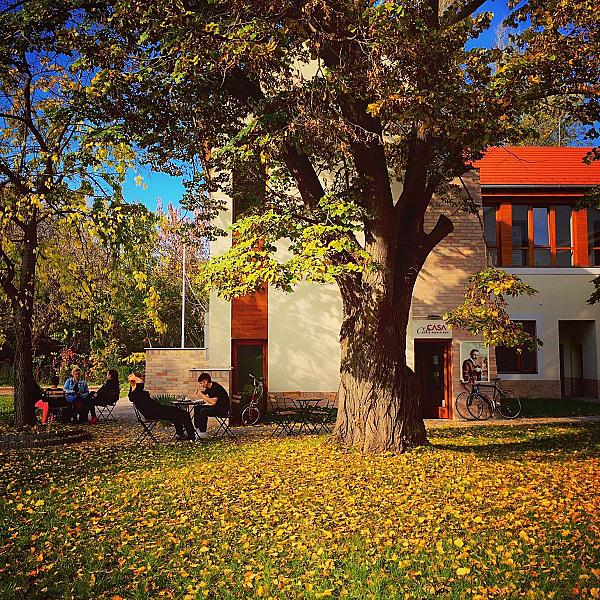 casa kép