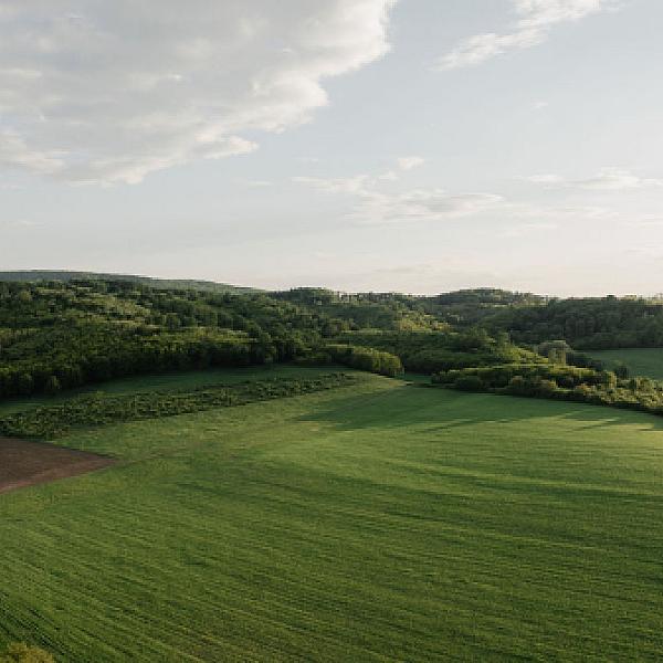 Rendezvényterem kép