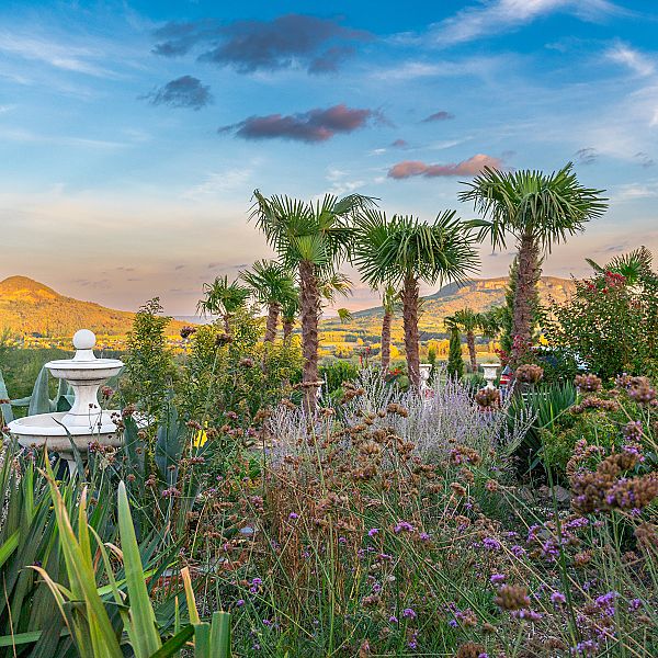 Taberna Infinito - Balatoni Panoráma Étterem és Botanikus Kert