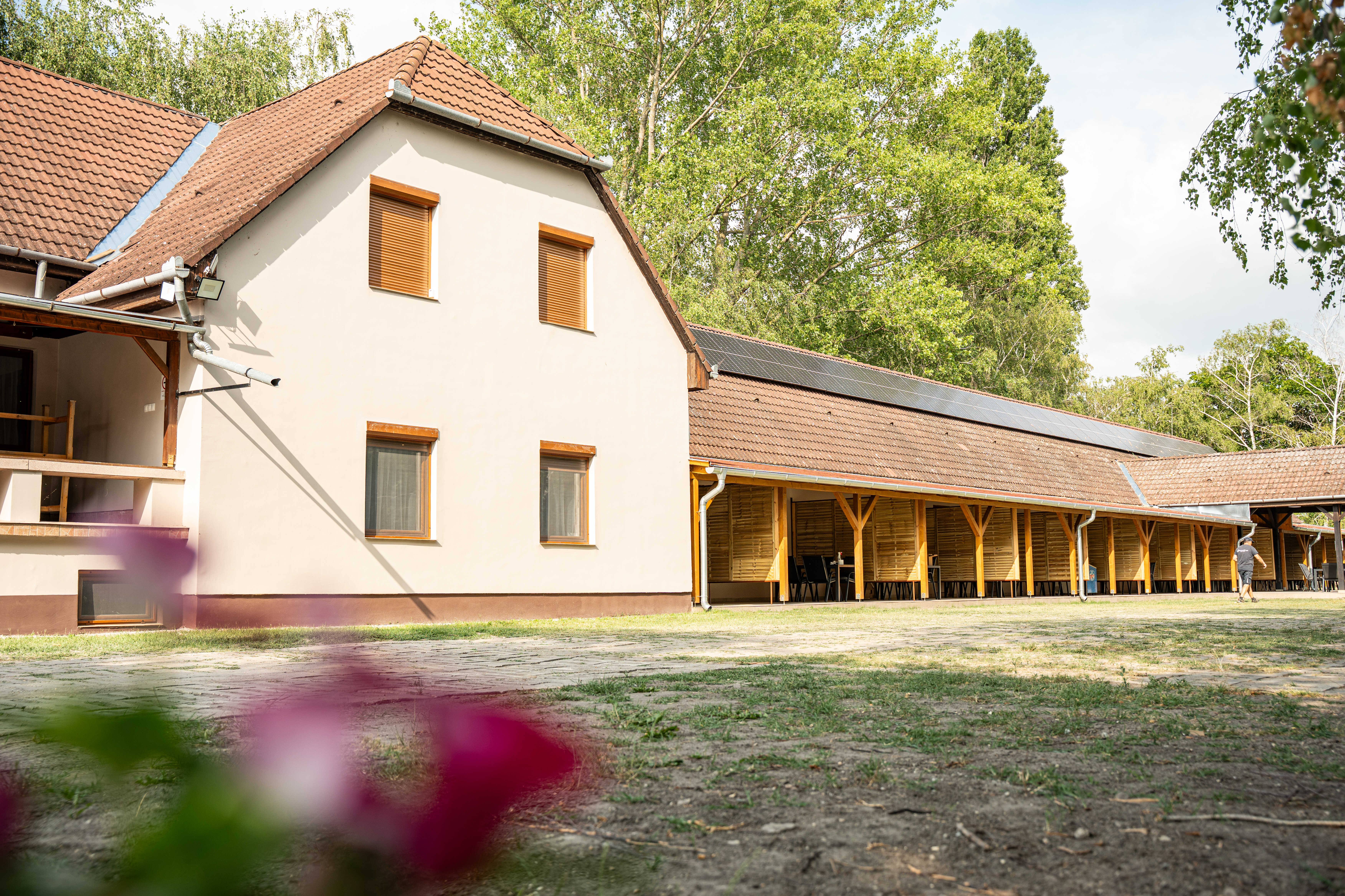 Szelid Gyöngye