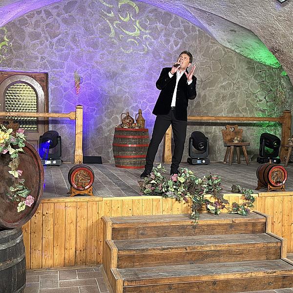 Festetics Pince kép