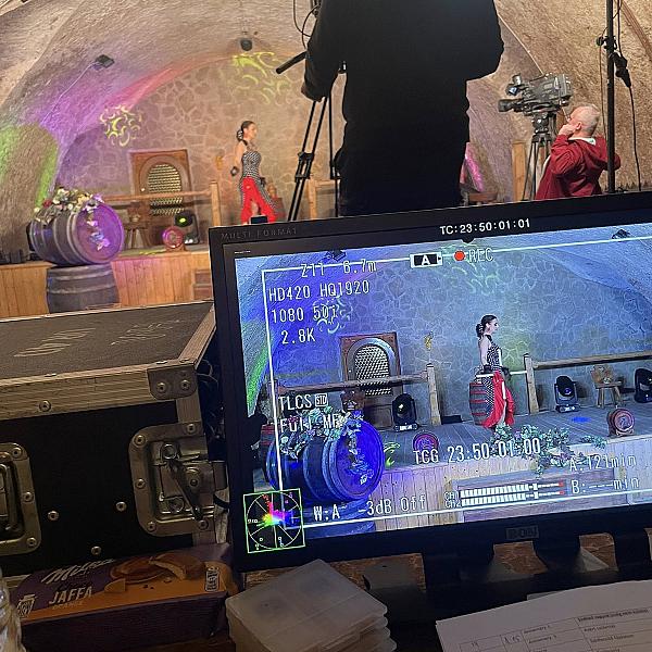 Festetics Pince kép