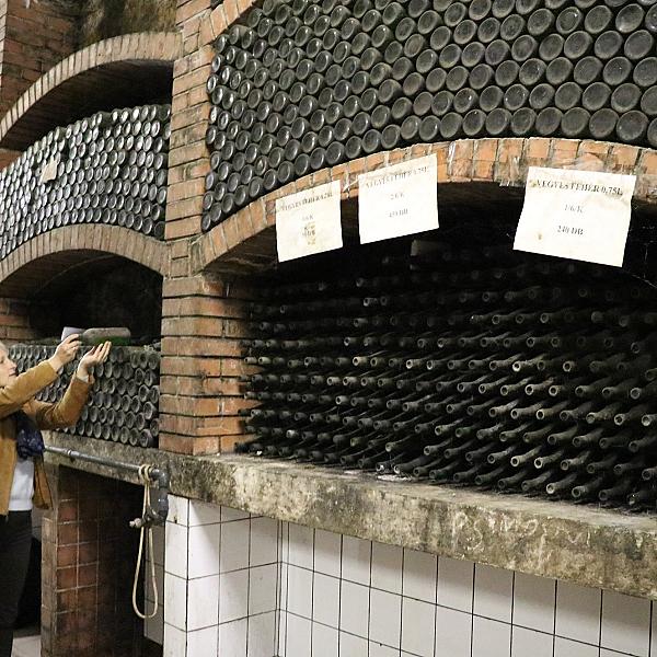 Szigetvin Pincészet kép