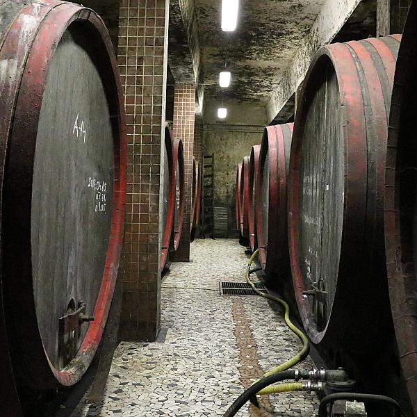 Szigetvin Pincészet kép